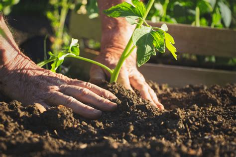 National Naked Gardening Day – Date And Information